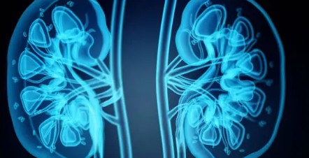 신장에 좋은 음식 주의사항