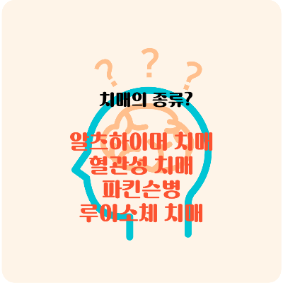 치매의 종류 알츠하이머 치매 혈관성 치매 파킨슨 병 루이소체 치매 의 원인 증상 관리 방법