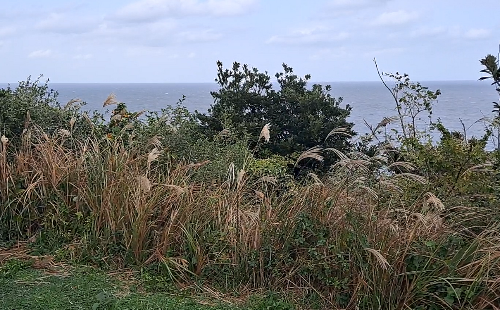 제주여행_도두봉