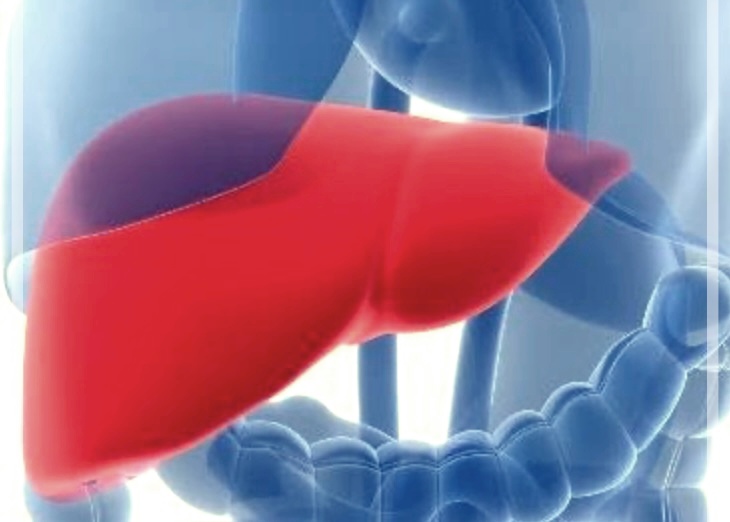 간 건강에 좋은 약초와 음식들