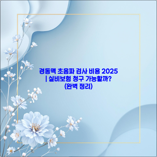 경동맥 초음파 검사 비용 2025 ❘ 실비보험 청구 가능할까? (완벽 정리)