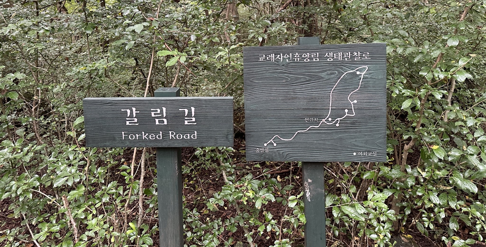 관찰로 이정표
