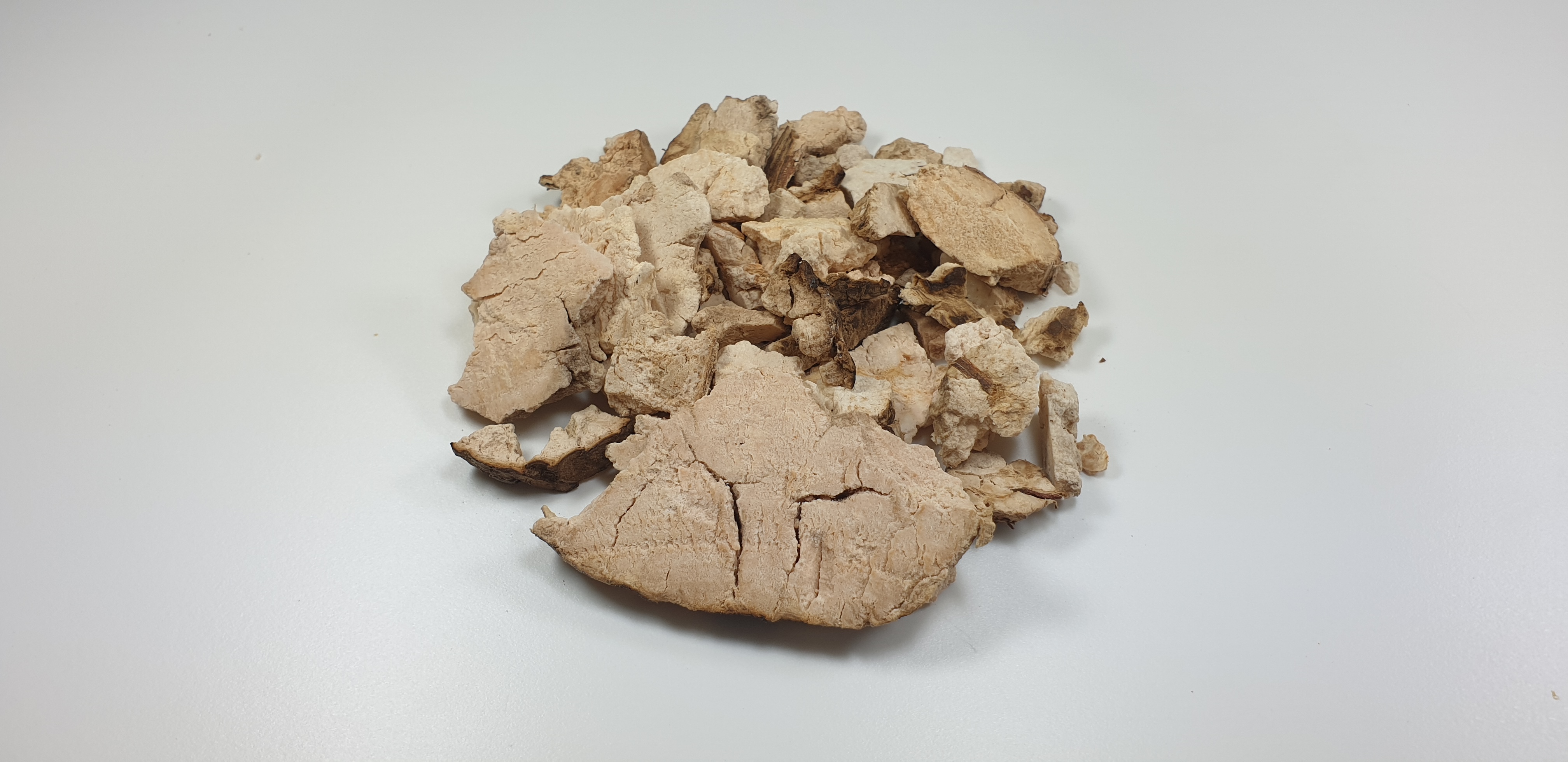 야생의 소나무 뿌리에서 채취를 한 백보신을 잘 세척해서 건조한 후에 하얀 바닥 위에 놓고 확대하여 찍은 사진