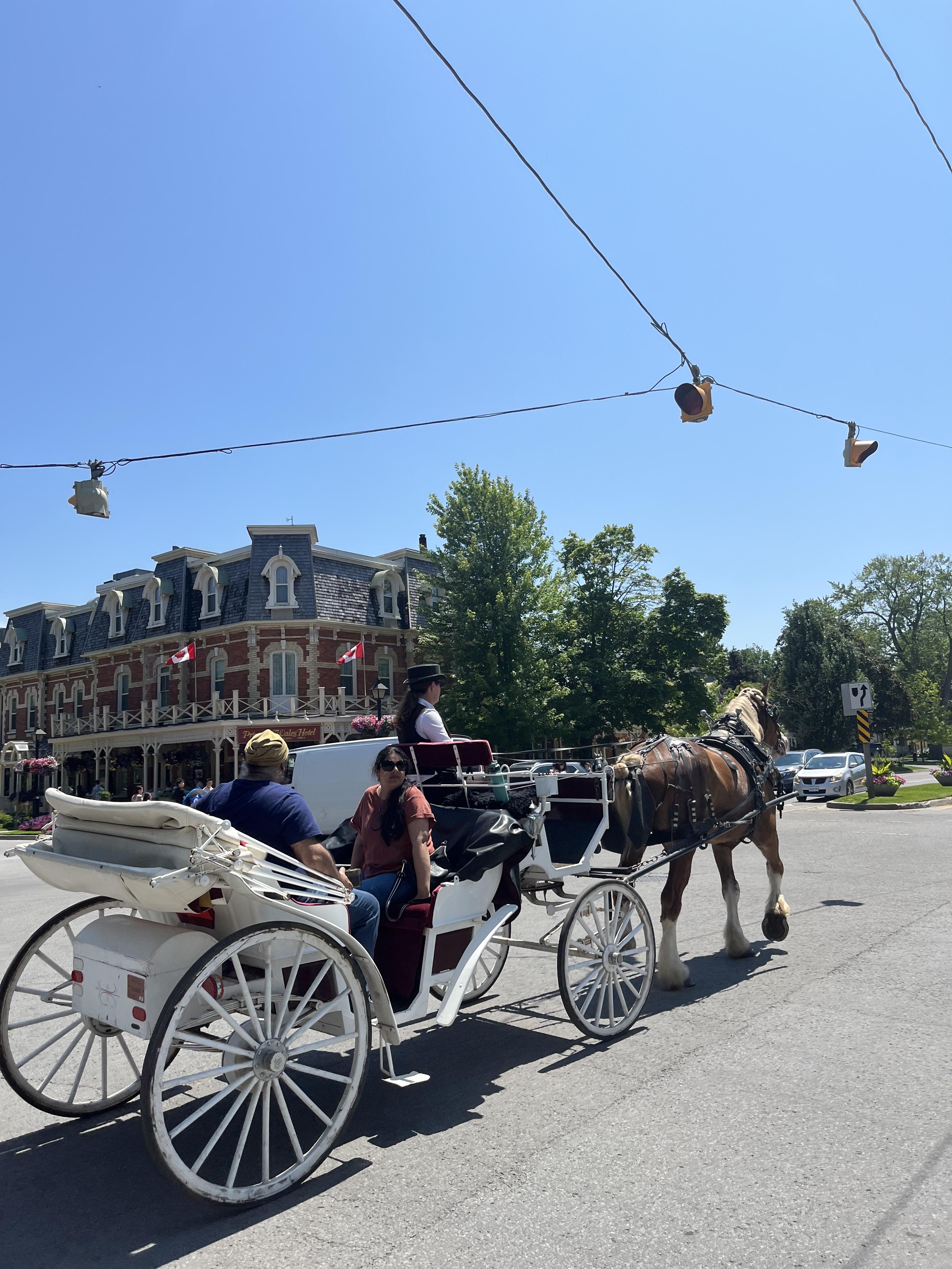 나이아가라여행