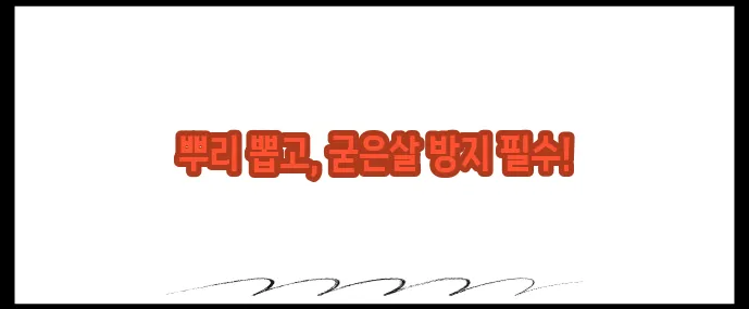 티눈 없애는 방법 (+재발 방지법)