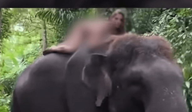 발리 관광세 도입 이유