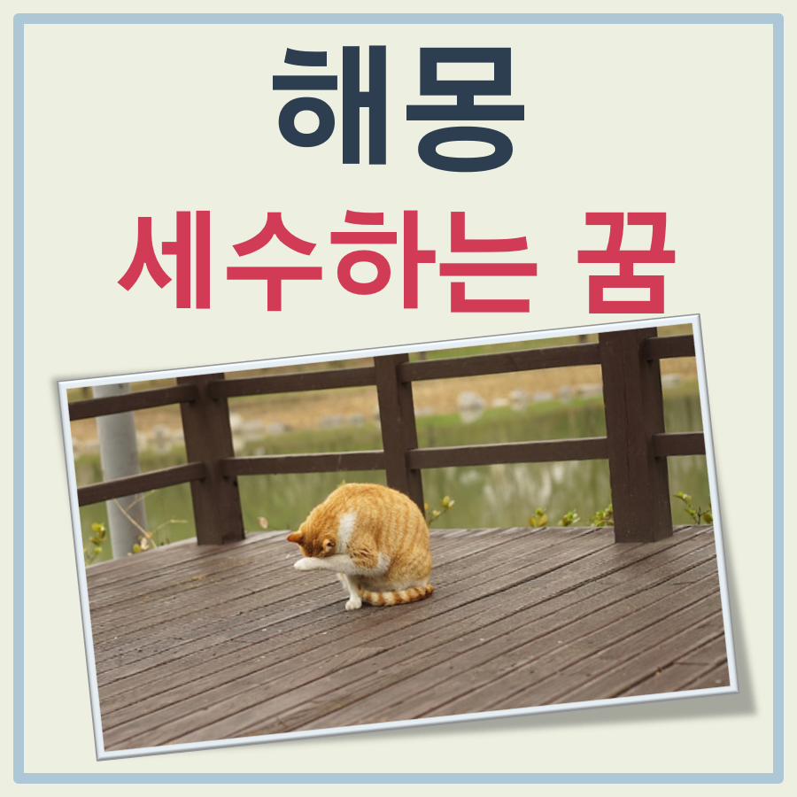 세수하는 꿈 해몽 대표 이미지