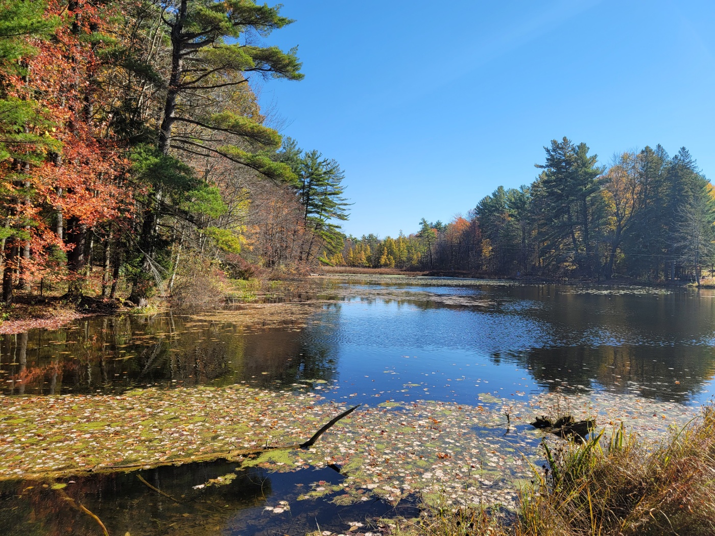 자연 산책으로 마무리하는 하루의 힐링, 호수