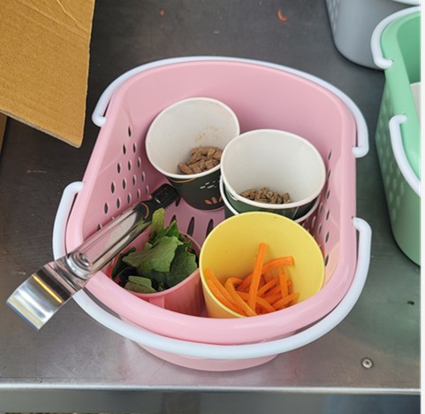 가평 베고니아 새정원 - 아이와 가볼만한 곳 추천, 후기