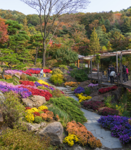 화담숲 예약 모노레일 예약 관람방법