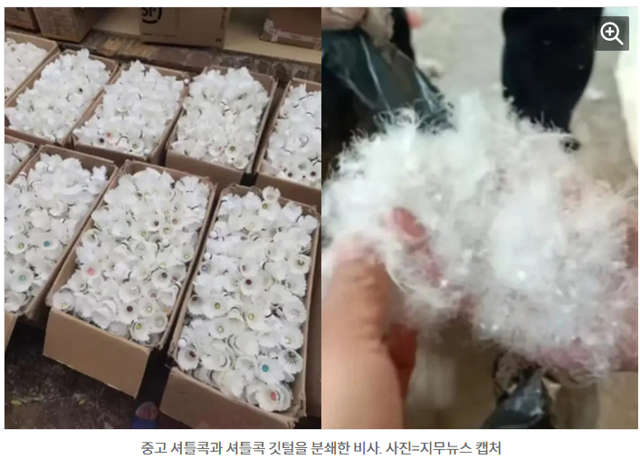 가짜패딩