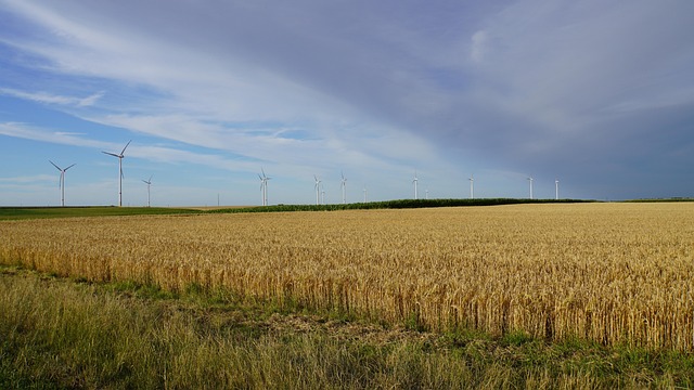 열사병의 증상 관련 이미지