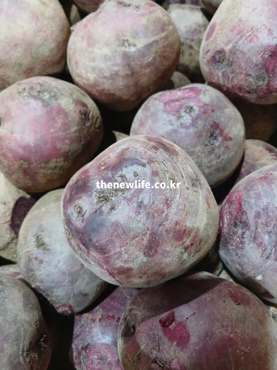 시장에 진열된 비트 뿌리 상태를 보여주는 사진으로 비트 효능 중 간 기능 보조와 연관된 실제 식재료 이미지