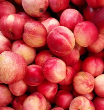 복숭아 효능 부작용 칼로리