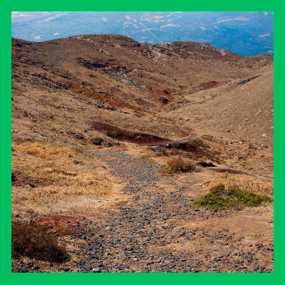 조상땅 찾기 조회