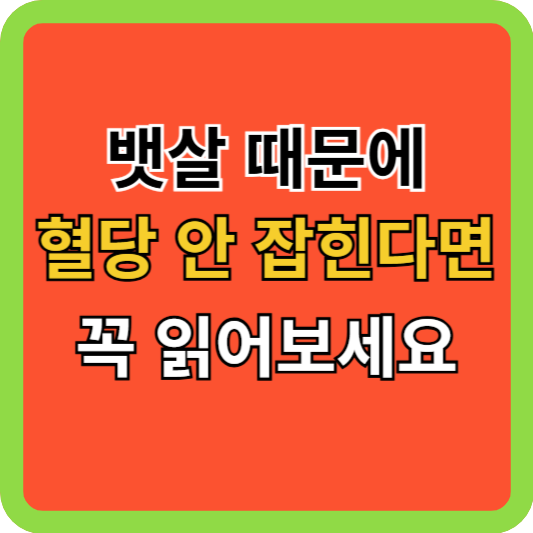 뱃살 때문에 혈당이 안 잡힌다면 꼭 읽어보세요
