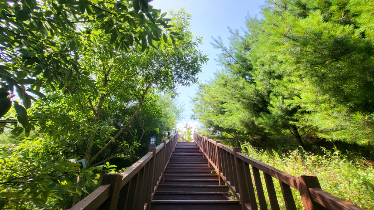 국립산림치유원