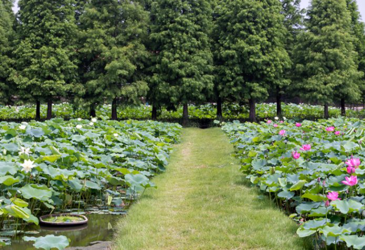 태안 청산수목원