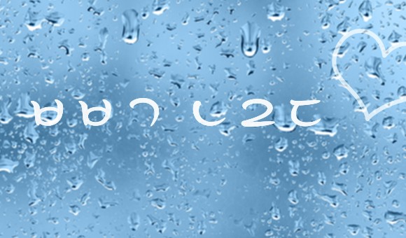 샘플