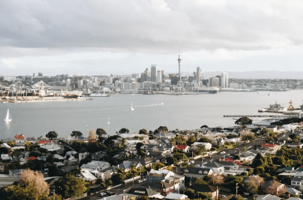 뉴질랜드 워킹홀리데이 완벽 가이드: 비자부터 정착까지