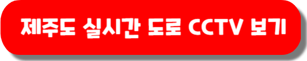 실시간 제주도 날씨, CCTV로 보는 방법