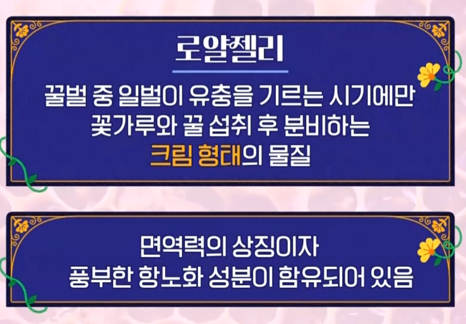 로얄폴리스꿀 로얄젤리 프로폴리스 꿀
