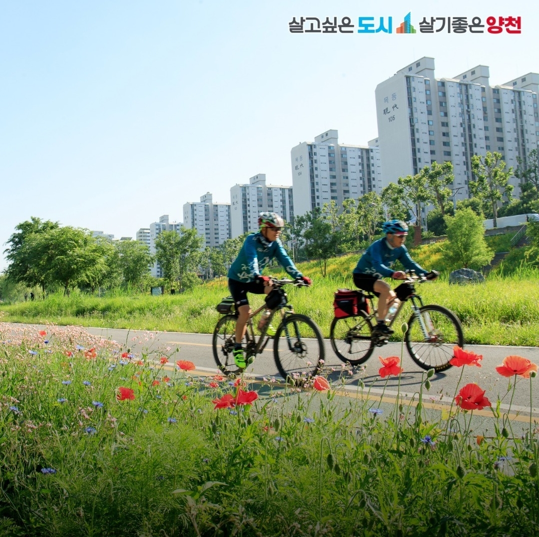 양천구민 자전거보험