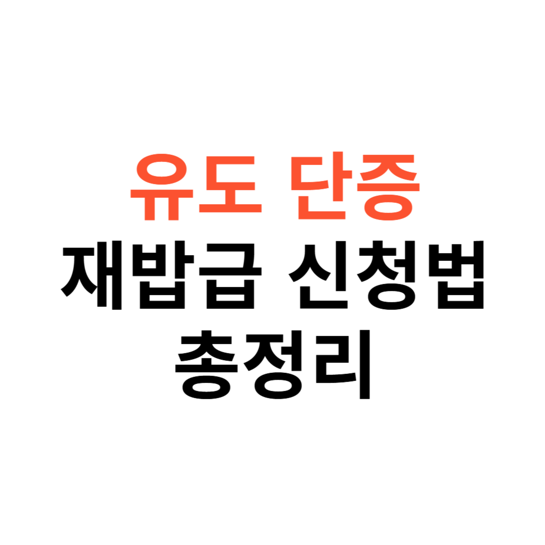유도 단증 재발급 신청 방법