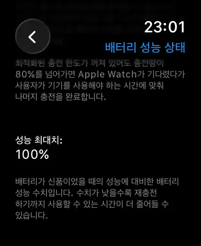 애플워치 울트라2 배터리 상태 최대 용량 퍼센트 확인 화면