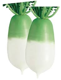 🥬 김장김치 온도 숙성 부터 오래 아삭하게 보관법