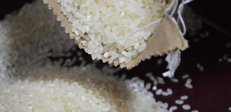 쌀뜨물 활용법과 관련 된 사진 - 3