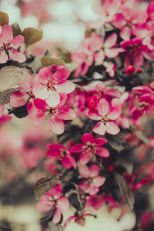 향긋한 미나리 독성 및 거머리 걱정 끝! 과학적 원리로 풀어낸 완벽 세척 가이드