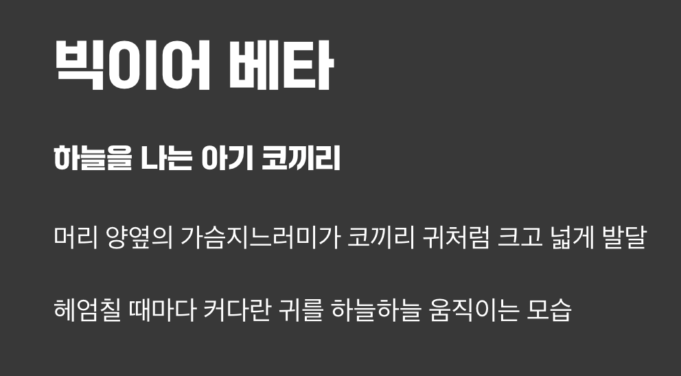 빅이어 베타 - 하늘을 나는 아기 코끼리