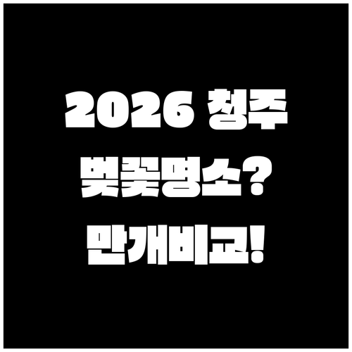 2026년 청주 상당구 벚꽃 명소별 ..