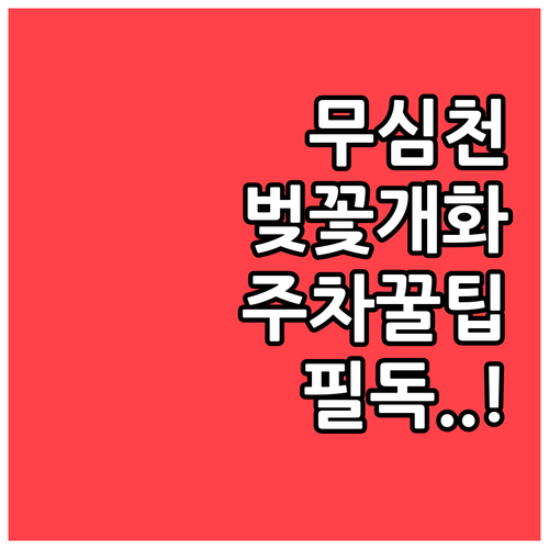 청주 무심천 벚꽃 개화 시기 만개일 ..