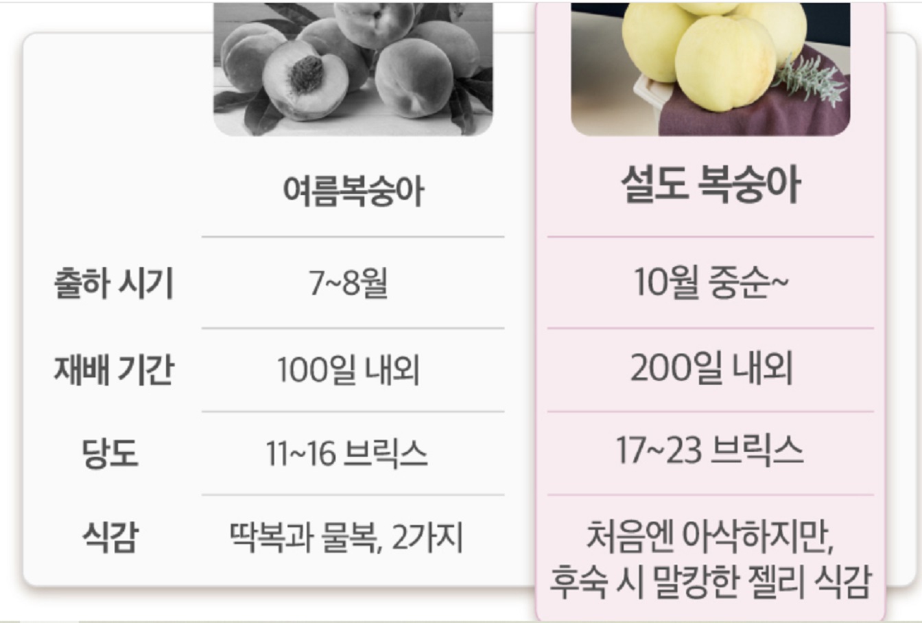 6시내고향-함양-설도-차이점