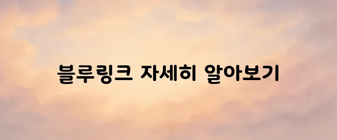 현대 블루링크 홈페이지 바로가기