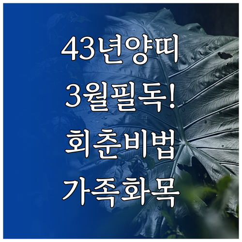 1943년생 양띠 어르신 3월 건강 ..