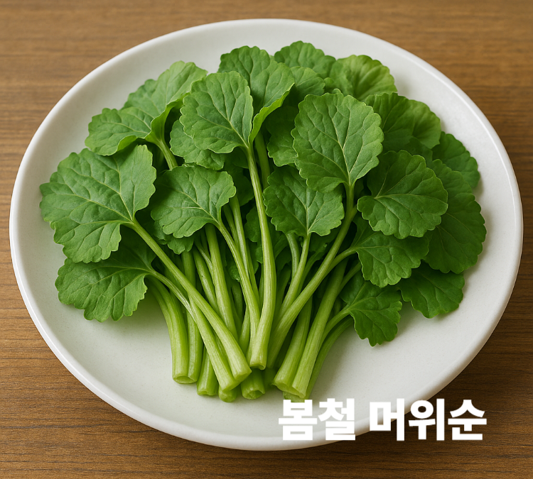 세포손상방지 간기능보호 뼈건강 근육유지 봄철 머위순 효능 영양성분