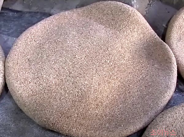 누룩_ytn사이언스