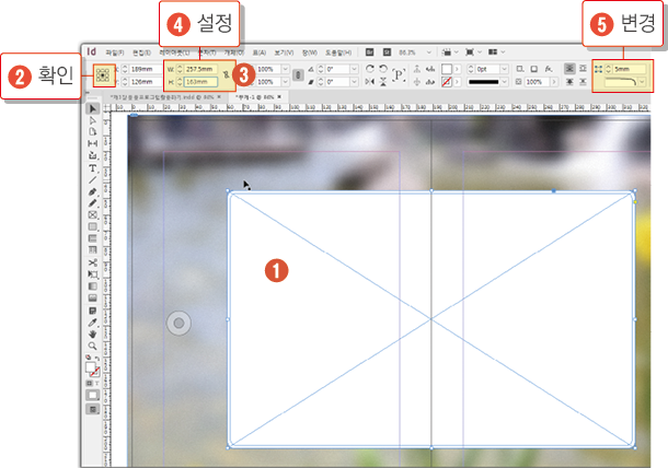 카메라 포커스15