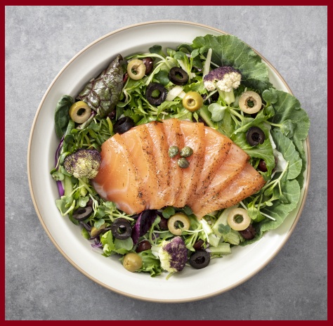 저탄고지 키토제닉