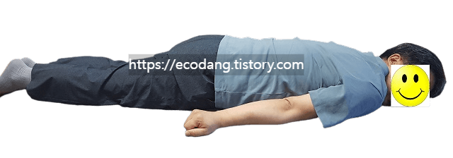 엎드려서 하는 맥켄지 신전 동작 1단계