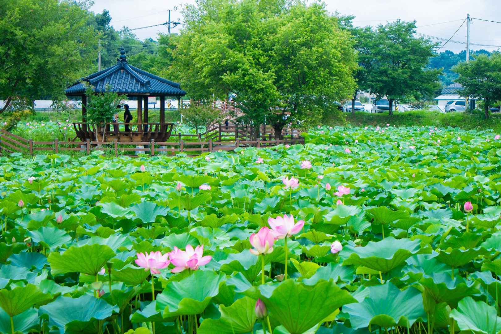 성주 뒷미지수변공원