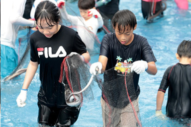 삼길포우럭축제