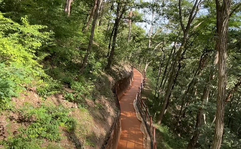 미르 309 다리를 내려오면 황토숲길로 갈 수 있습니다.