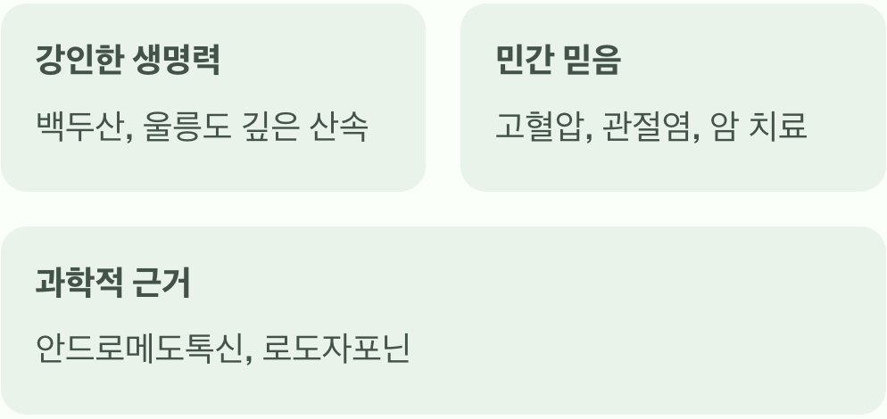 이름 속에 담긴 기대와 진실