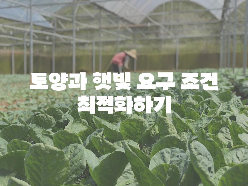 토양과 햇빛 요구 조건 최적화하기