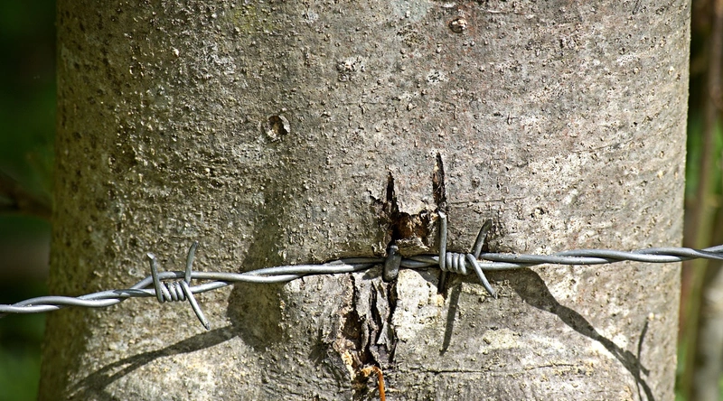 배선 설계의 중요성