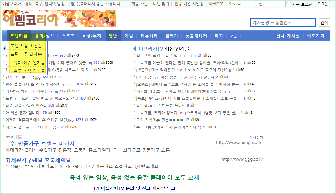 펨코 아프리카